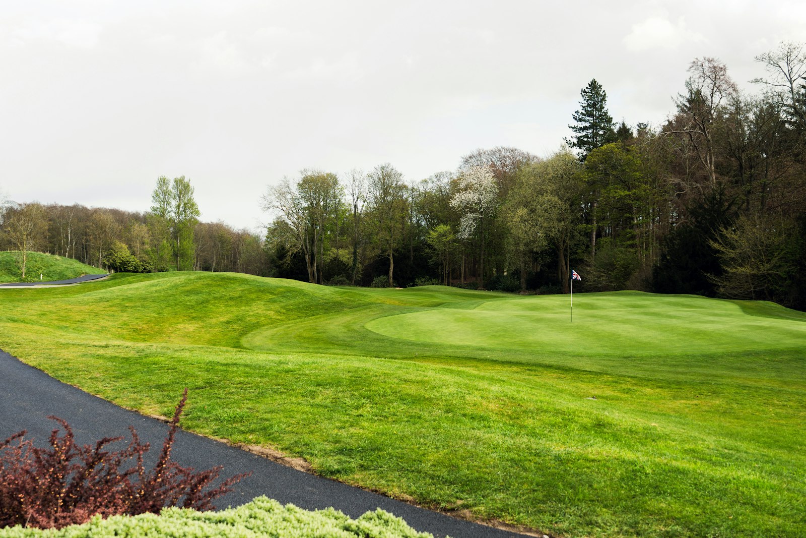 Pristine green and flagstick framed by mature trees on a championship style golf course