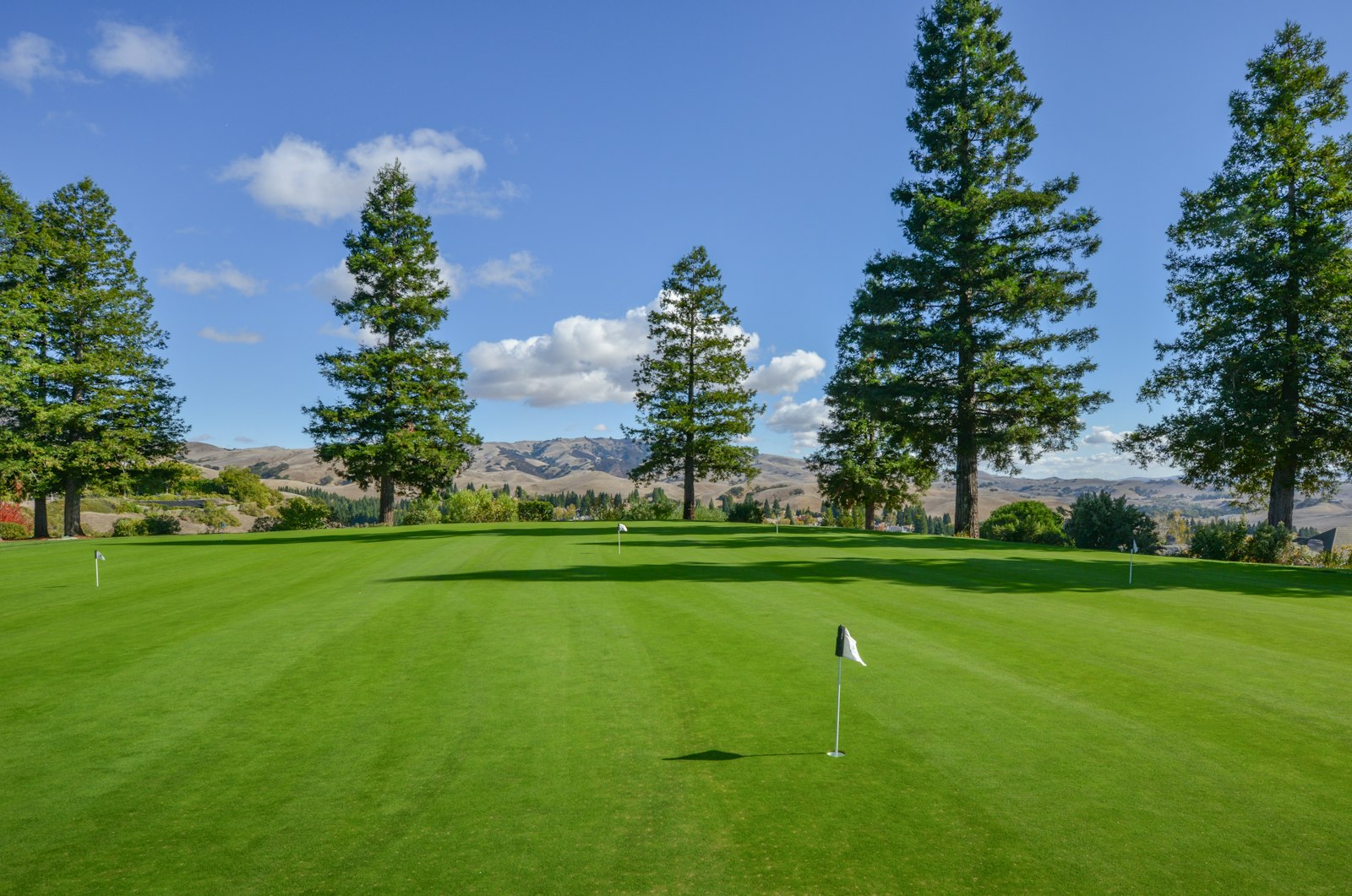 Golf course green with flag at sunrise